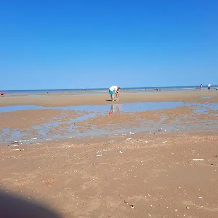On Belgian Coast With Sea View *