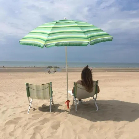 Appartement On Belgian Coast With Sea View
