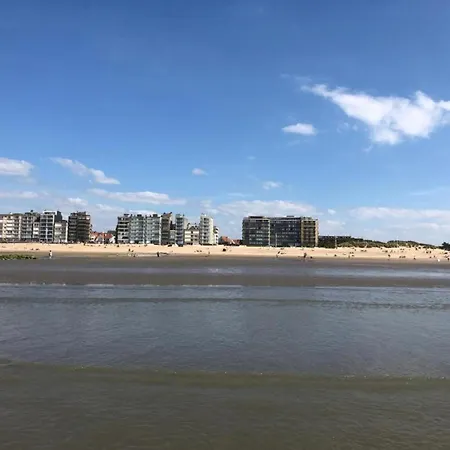 On Belgian Coast With Sea View Appartement *