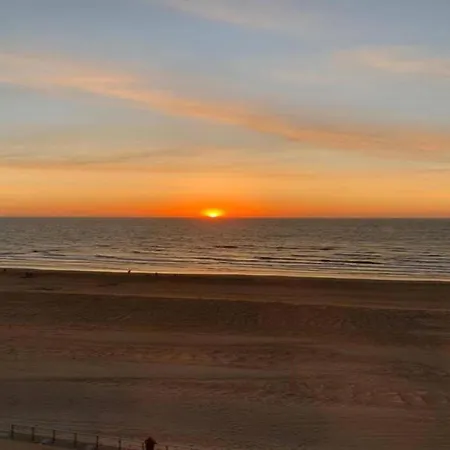 On Belgian Coast With Sea View Appartement Coxyde