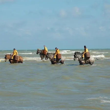 On Belgian Coast With Sea View