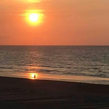On Belgian Coast With Sea View * Coxyde