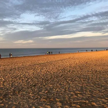 Appartement On Belgian Coast With Sea View Coxyde