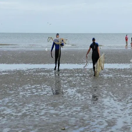 On Belgian Coast With Sea View *