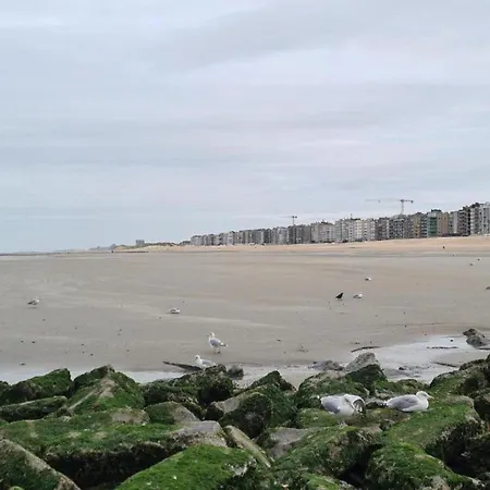 On Belgian Coast With Sea View Appartement *