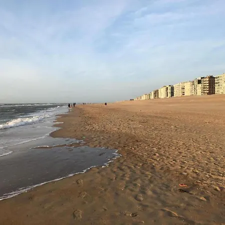 Appartement On Belgian Coast With Sea View *