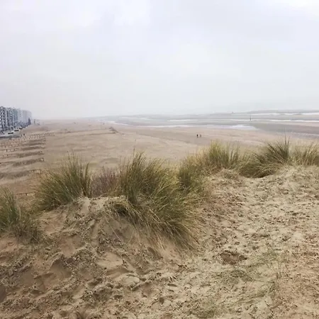 On Belgian Coast With Sea View